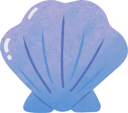 Stylized Watercolor Shell